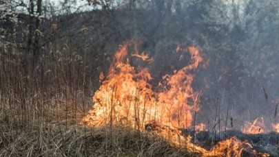 Gigantyczna liczba pożarów traw w Polsce. Kilka osób rannych