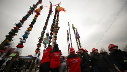 Gigantyczna palma i wielkie święto tradycji. Lipnica Murowana znów zachwyciła