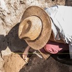 Gigantyczne głowy ze Wzgórza Klejnotów. "Oszałamiające odkrycie"