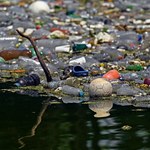 Gigantyczne plamy śmieci na jeziorach w Ameryce. Umiera nie tylko przyroda