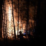 Gigantyczne pożary we Francji. Prawie 1000 strażaków w walce z żywiołem