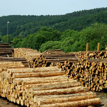 Gigantyczne problemy z dostępnością drewna i stali