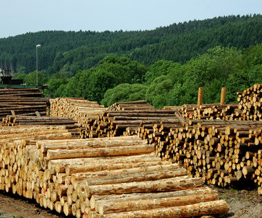 Gigantyczne problemy z dostępnością drewna i stali