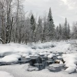 Gigantyczne straty w lasach. Leżą całe połacie