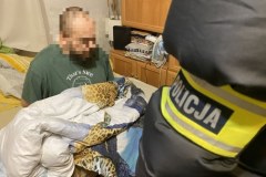 Gigantyczne uderzenie w przestępczość narkotykową. Galeria