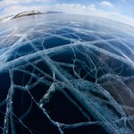 Gigantyczne wirusy atakują mikroskopijne glony w arktycznym jeziorze episzelfowym