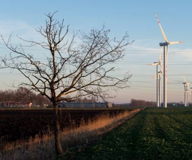 "Gigantyczne" zainteresowanie wiatrakami na lądzie. PGE stawia na repowering