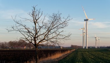 "Gigantyczne" zainteresowanie wiatrakami na lądzie. PGE stawia na repowering