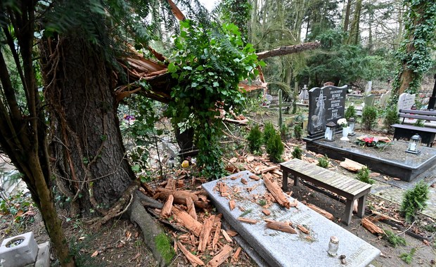 Gigantyczne zniszczenia w lasach, tysiące domów bez prądu