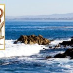 Gigantyczne zwierzę pojawiło się przy powierzchni morza. Robi wrażenie