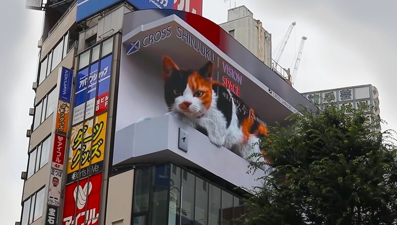 Gigantyczny kot pojawił się na ulicy w Tokio. Takie reklamy to można oglądać /Geekweek