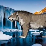 Gigantyczny lew żył w Polsce. Olbrzym ważył ponad 400 kilogramów