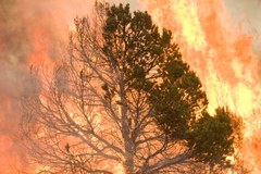 Gigantyczny pożar w Arizonie