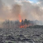 Gigantyczny pożar w Śląskiem. Spłonęło 50 hektarów lasów i traw 