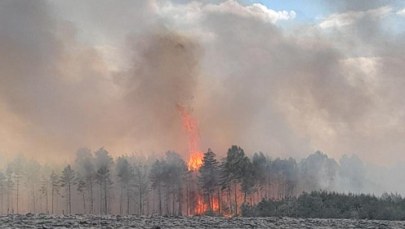 Gigantyczny pożar w Śląskiem. Spłonęło 50 hektarów lasów i traw 