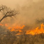Gigantyczny pożar w Teksasie pozostawia zgliszcza. Są ofiary