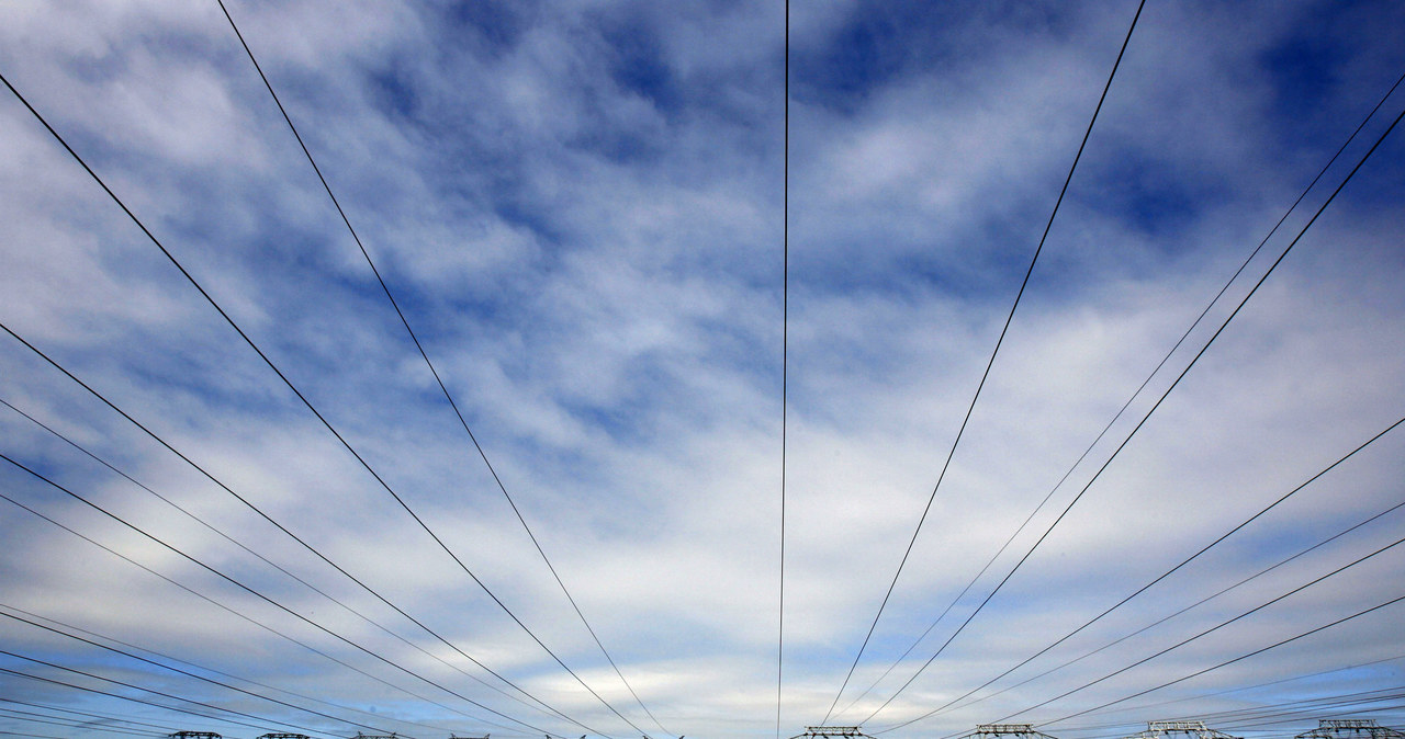 Gigantyczny wzrost mocy z energetyki wiatrowej /AFP
