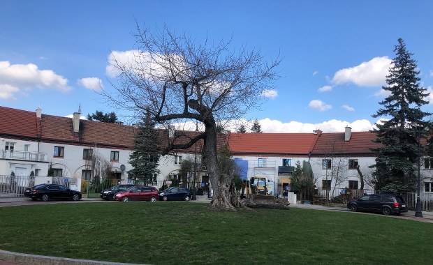 Gigantyczny zegar słoneczny, który nigdy nie powstał. Niezwykła historia z Warszawy