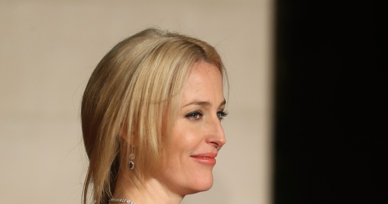 Gillian Anderson /Chris Jackson /Getty Images