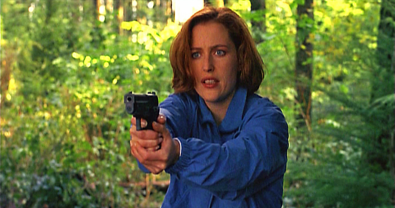 Gillian Anderson /AKPA