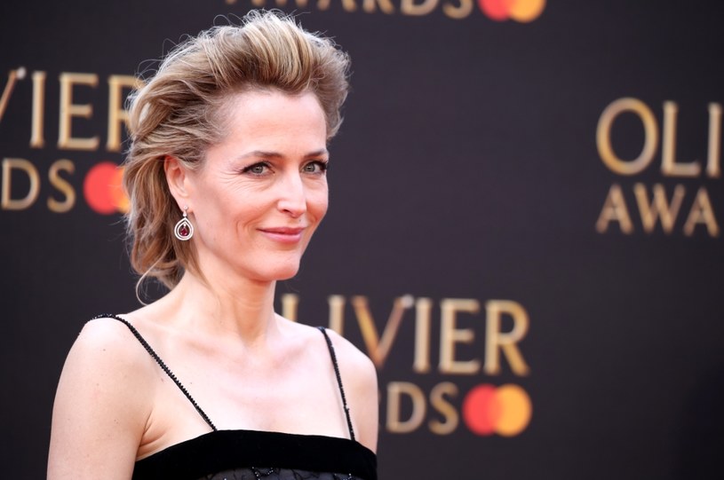 Gillian Anderson /Mike Marsland /Getty Images