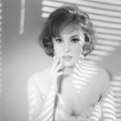 Gina Lollobrigida