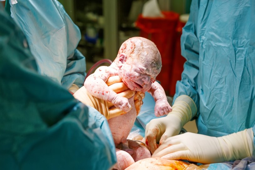 Ginekolog z Holandii jest biologicznym ojcem 17 dzieci swoich pacjentek (foto) / 123RF / PICSEL