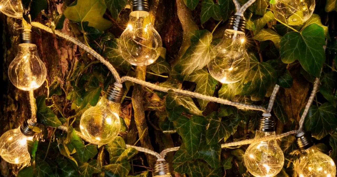 Girlanda LED w Biedronce! /Lighthouse /INTERIA.PL