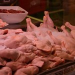 GIS: Ilości fipronilu w skażonych kurczakach nie zagrażają zdrowiu