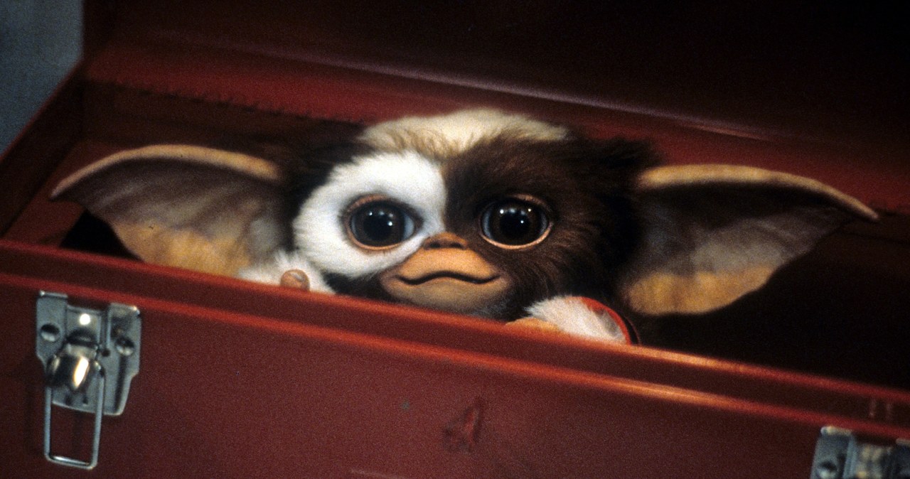 Gizmo z filmu "Gremliny rozrabiają" /Archive Photos / Stringer /Getty Images