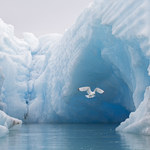 ​Glacjoblogia: Ratując lodowce, ratujemy samych siebie