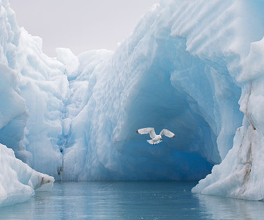 ​Glacjoblogia: Ratując lodowce, ratujemy samych siebie