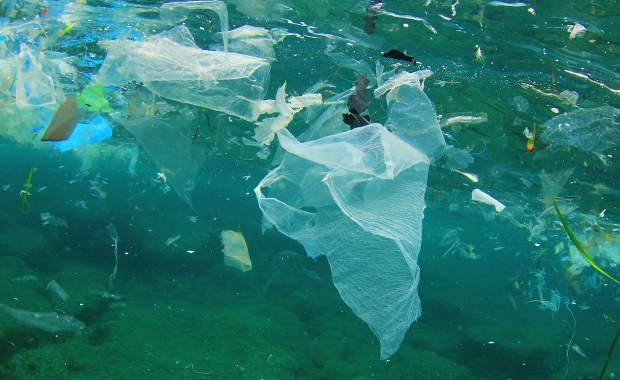 Głębia Calypso, czyli "ostateczne składowisko odpadów". Zwierzęta połykają tam śmieci