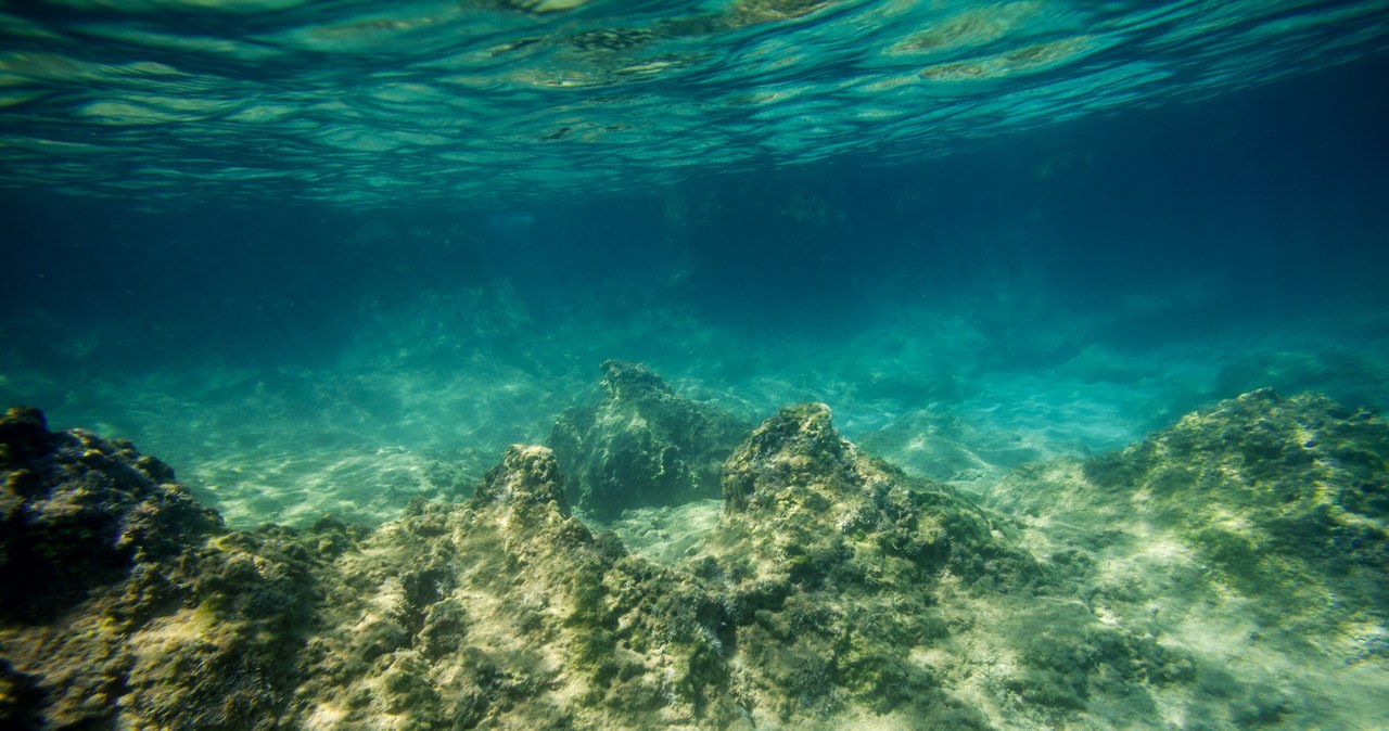 Głębiny mórz skrywają wiele tajemnic z poprzednich wieków (zdjęcie poglądowe) /kalinavova /123RF/PICSEL