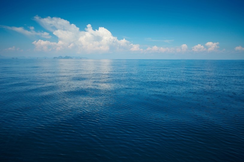 Głęboko w oceanach znajdują się rozległe pokłady bogate w cenne pierwiastki /123RF/PICSEL