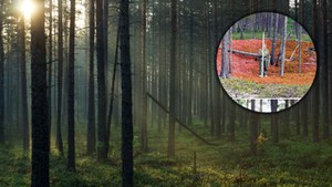 Głęboko w syberyjskich lasach odkryto tajemniczą strukturę. Jest to "przełomowe odkrycie"