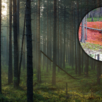 Głęboko w syberyjskich lasach odkryto tajemniczą strukturę. Jest to "przełomowe odkrycie"