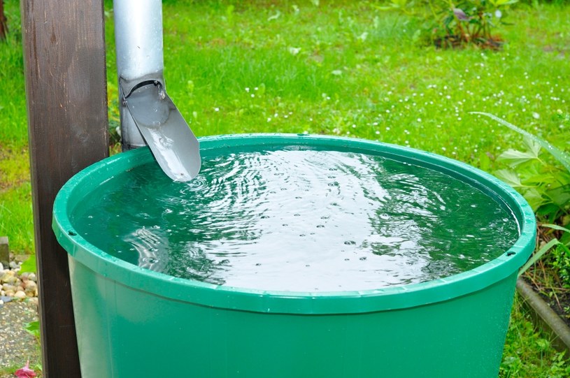 Gliwice będą wspierać mieszkańców gromadzących wodę deszczową /123RF/PICSEL
