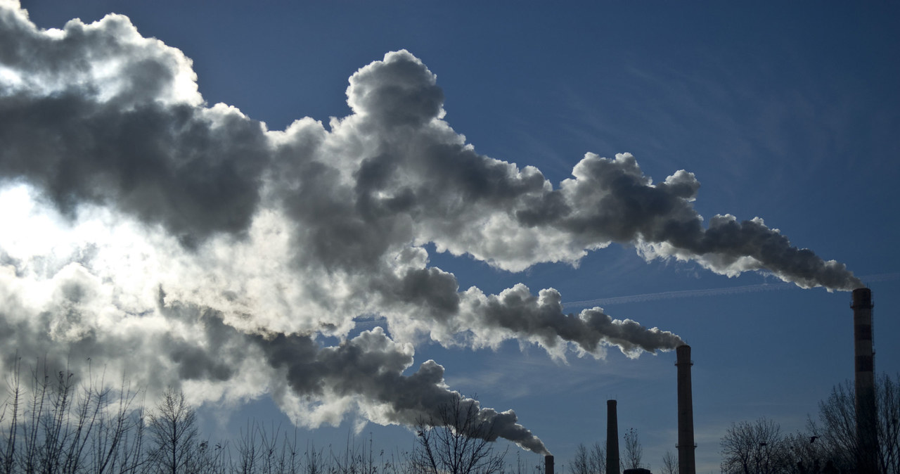 Globalne emisje CO2 ze zużycia węgla zmniejszyły się o prawie 200 mln ton, czyli o 1,3 proc. wobec 2018 roku. /123RF/PICSEL
