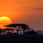 Globalne ocieplenie może zwiększać ryzyko raka u kobiet