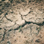 Globalne ocieplenie uderzy w polskich rolników 