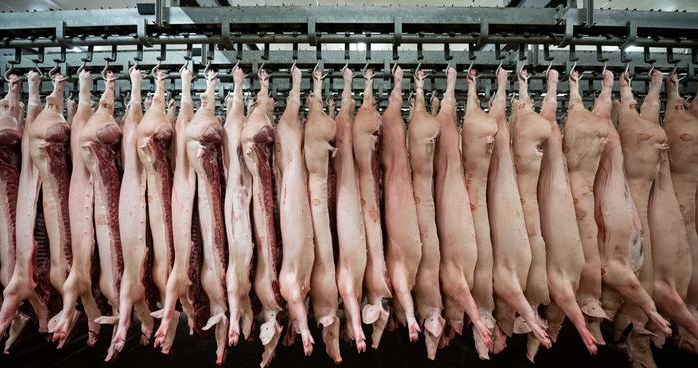 Globalne zapotrzebowanie na mięso rośnie ze względu na przyrost globalnej populacji i wzrost gospodarczy /Deutsche Welle