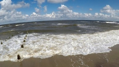 ​Globalny zaduch w morzach i oceanach. W ciągu 50 lat "wyparowało" 2 proc. tlenu