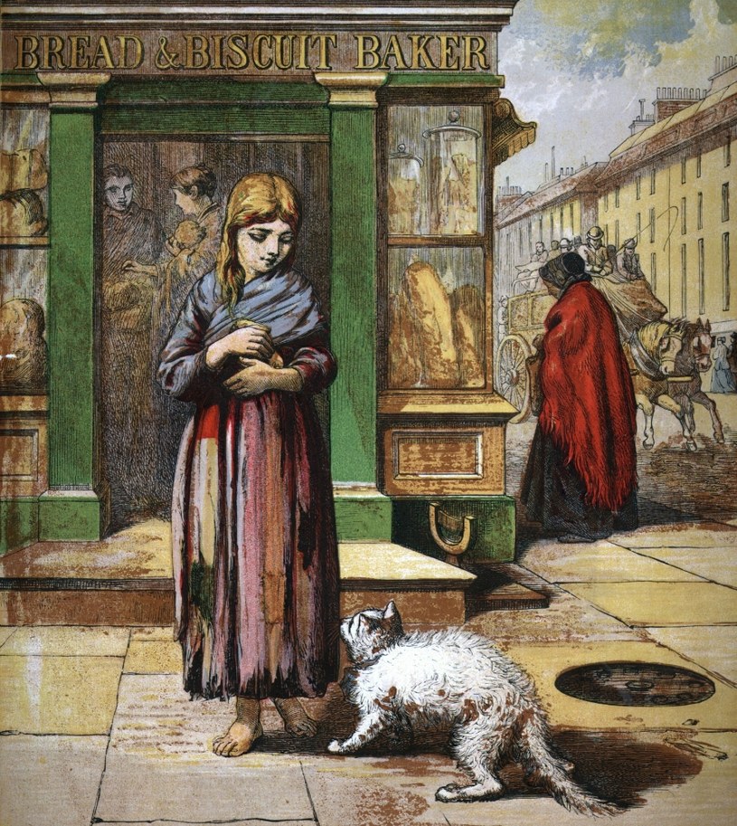 Głodny kot zwraca się z prośbą o pomoc do dziewczyny wychodzącej z piekarni, 1850 rok /Getty Images/Flash Press Media