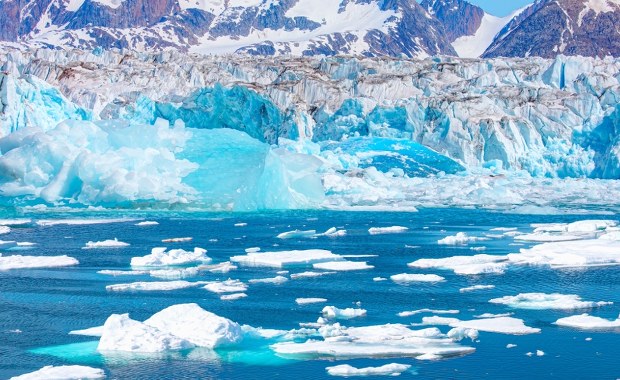 Glony mogą powodować szybsze topnienie Grenlandii