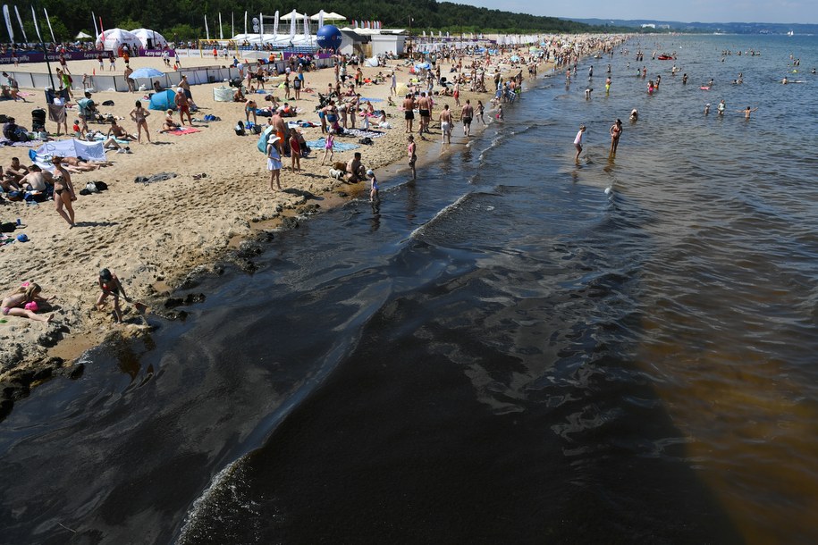 Glony przy brzegu plaży w Gdańsku-Brzeźnie. /Adam Warżawa /PAP