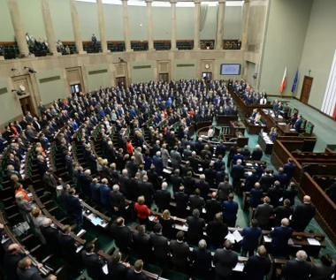Głosowanie nad konwencją o przemocy jeszcze dziś 