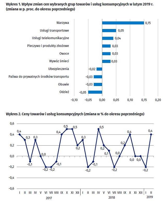 Główna ekonomistka Banku Pocztowego Monika Kurtek wyjaśnia, że zdrożały leki /GUS