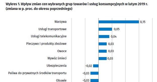 Główna ekonomistka Banku Pocztowego Monika Kurtek wyjaśnia, że zdrożały leki /GUS