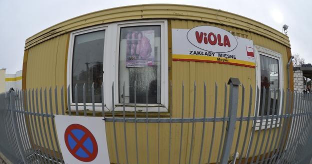 Główny Inspektorat Weterynarii wstrzymał do odwołania przetwórstwo w zakładzie Viola /PAP